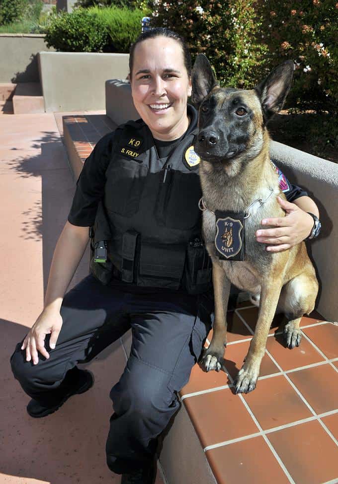 Officer Foley brings energetic attitude to city’s K-9 patrols - Sedona ...