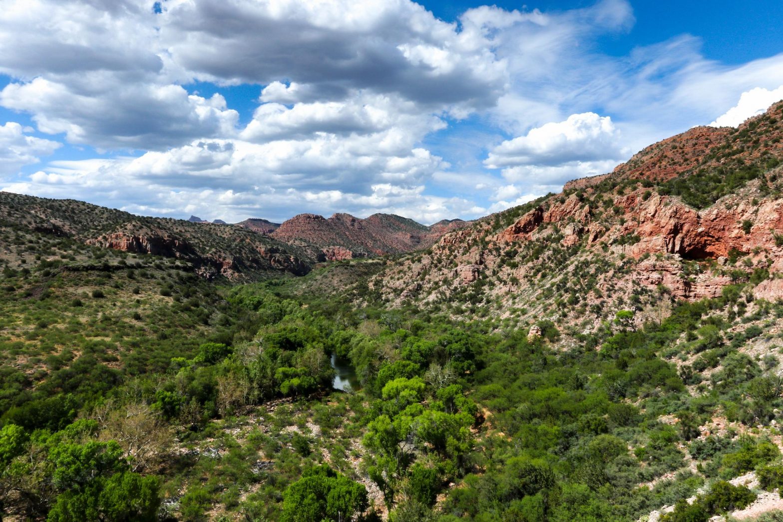 Sycamore Canyon offers shaded area for relaxation - Sedona Red Rock News